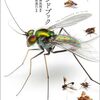 ハエに関する、かなりショッキングな生態知識と、その映像