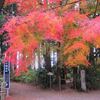 水戸ロマンチックゾーンに残る紅葉