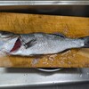 食と釣りを楽しむ休日