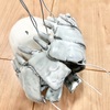 陶鉢「ダンゴムシ」xビカクシダ「ネザーランド」
