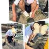 ちょっと様子を見てみよう🌱‬‪