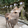 コロナウイルス騒動が早く収まれば旅行でもして被災地にお金を落としたい。