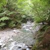 奥秩父 笛吹川東沢-釜ノ沢東俣
