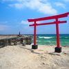 伊古奈比咩命神社またの名を白浜神社と呼ばれる伊豆最古の宮を紹介！