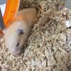 みそあん552日目