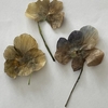 押し花作りに失敗