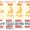 反り腰　猫背の危険性