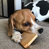 僕はまだ知らない