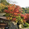 薬樹山 延命寺の紅葉2021 ～ Ⅰ