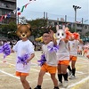 息子年中さんの運動会