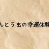 てんとう虫の幸運体験談｜宝くじ高額当選や恋愛成就につながる不思議な前兆とは