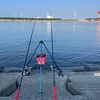 石狩新港の2024シャコ釣り第4戦
