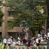 池袋ネコ歩きminiなカメラ散歩。【南池袋〜雑司ヶ谷】