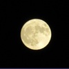 熱帯夜続く…夜の暑さも注意！！