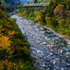 色付き進む千垣橋梁を渡る、富山地方鉄道14760形電車を撮る！