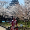 鶴ヶ城の桜と日中線の枝垂れ桜