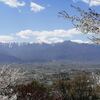 いつものトレッキング　桜満開の光城山から大展望の長峰山 2024.04,19