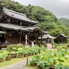 西国三十三所十番　三室戸寺（明星山三室戸寺）