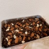 おやつにピッタリ！「生チョコグラノーラ」のレシピをご紹介