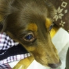 大丈夫です