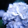 【スナップ】水中カメラNIKONOS用レンズを改造（NIKKOR 35mm F2.5、α7II） - 伊藤浩一のモバイルライフ応援団
