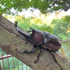 引き寄せの法則