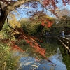 井の頭公園