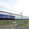第3031列車　「　甲12 西武鉄道 40000系(48154f)の甲種輸送を狙う　」
