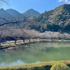 北山川の旧河道の池（仮称）（奈良県下北山）