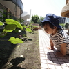 ☆おおきくなあれ☆