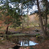 今週の風景