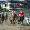 B級グルメってこういうことじゃないのかな？『浦和競馬場』