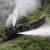 2016年 中国四川省のSL 芭石鉄道に乗ってきた。お立ち台や旧型客車に乗れる情報満載！