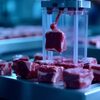 バイデン＝ハリス政権は、"未来の食品 "として、癌細胞から作られた実験室育ちの肉を支持する
