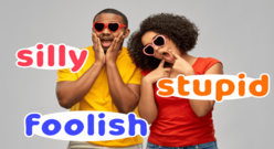 silly・foolish・stupidの違いとは？「バカ」の英語表現