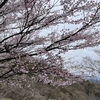 大山(神奈川県)への登山は厚木方面からがとても静かでおすすめです