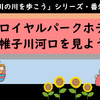 横浜ロイヤルパークホテルから帷子川河口を見よう！