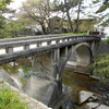 甲陽園で桜を見納めた。ついでにアンネのバラの教会に寄った！！【兵庫県西宮市】