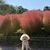 秋のお花見！初めて昭和記念公園へ