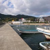 須磨浦漁港で小魚五目を達成しました(2023年11月)