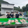 8月12日 水曜日