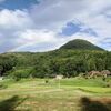 ヤマメやホタルの住む小川の水で育つ