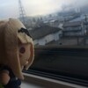 横須賀聖地巡礼とガルパンオーケストラに行ってきたよ！