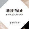 「戦国三姉妹　茶々・初・江の数奇な生涯」