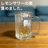 酒蔵が作ったレモンサワーの素、集めました。