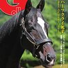 G2 金鯱賞（優勝：プログノーシス）の結果分析