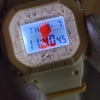 TWEETY【BGD-565TW-5JR】予想