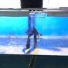 アクアポニックス試験栽培！水位が低い所から給水布に水を吸わせる工夫！ 