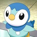 pocha.log