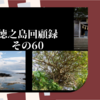 徳之島回顧録　その60（”ザ！鉄腕！ダッシュ！！”便乗）